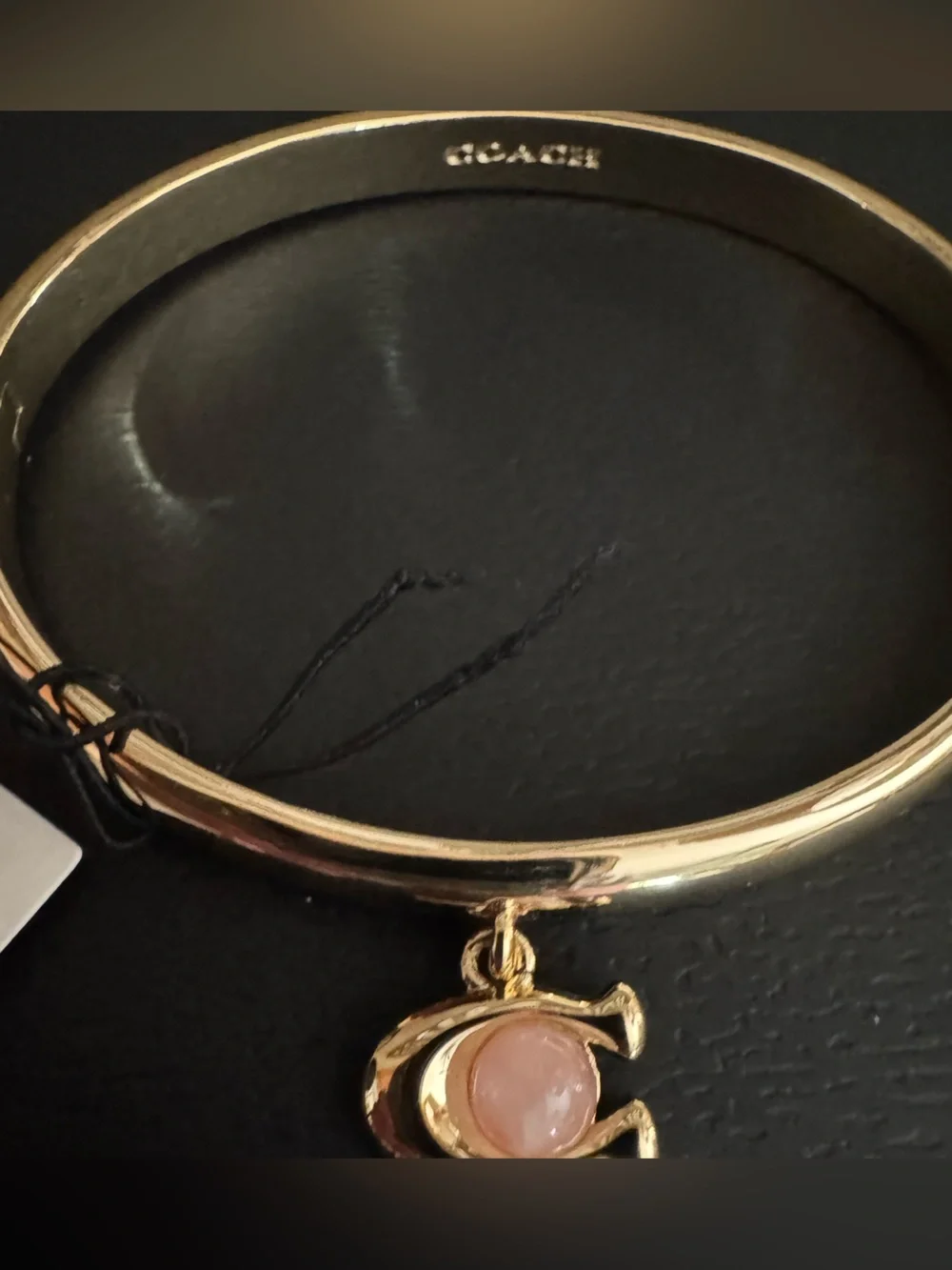 Coach nwt polished